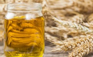 Cara memperbesar payudara dengan menggunakan Wheat Germ Oil